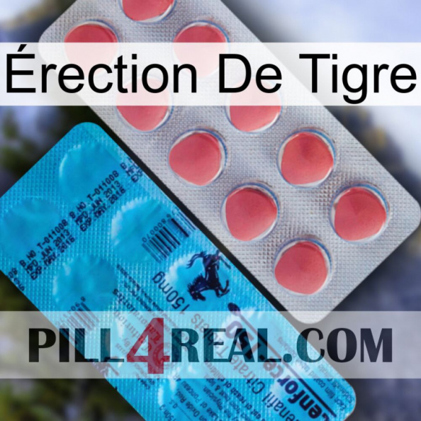 Érection De Tigre new14.jpg
